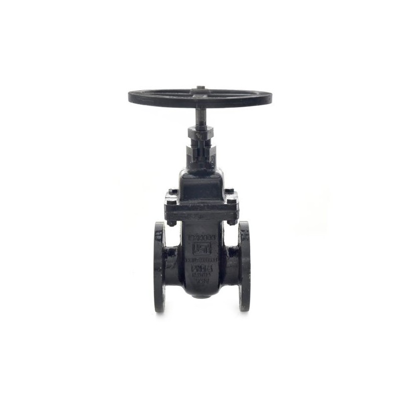 Sant CI Wedge Gate Sluice Valve PN-16 IS-14846