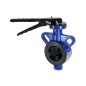 Sant CI Butterfly Valve Lever-SG Iron