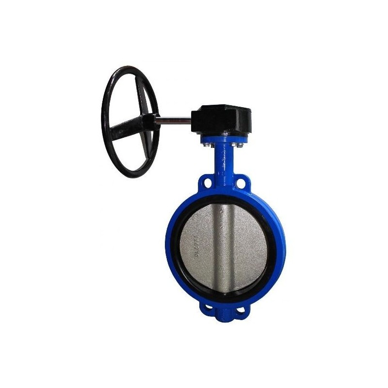 Sant CI Butterfly Valve Gear SS-Dish