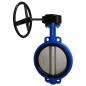 Sant CI Butterfly Valve Gear SS-Dish