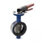 Sant CI Butterfly Valve - Wafer Type