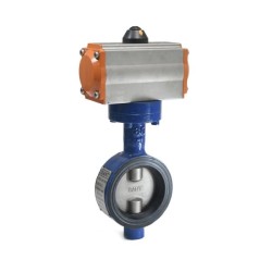 Butterfly Valve