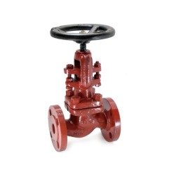 Globe Valve