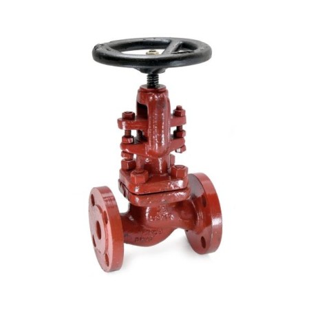 Globe Valve