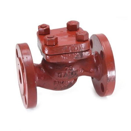 Check Valve