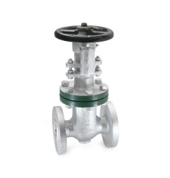 Gate Valve