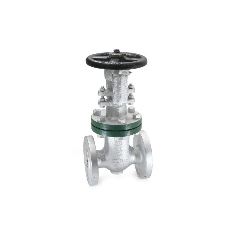 Sant Cast Steel Gate Valve Class-300