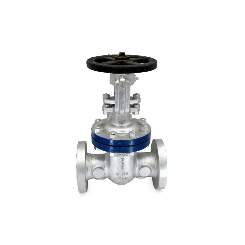 Sant Cast Steel Gate Valve Class-600