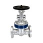 Sant Cast Steel Gate Valve Class-600