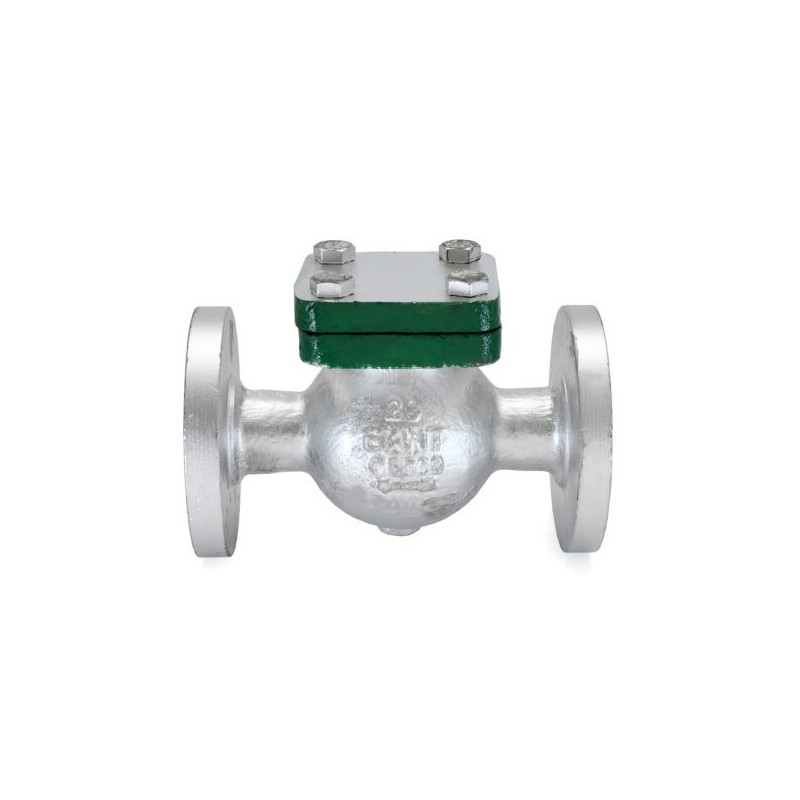 Sant Cast Steel Swing Check Valve