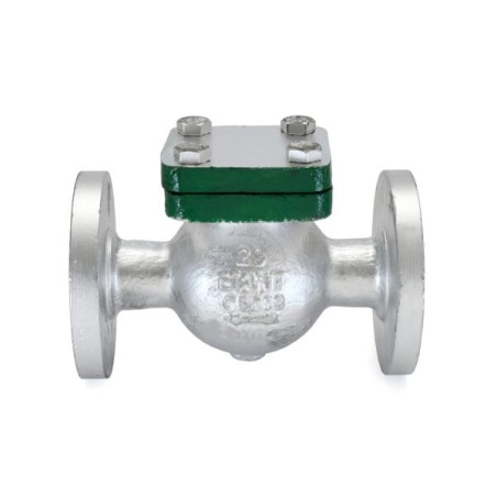 Check Valve