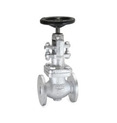 Globe Valve