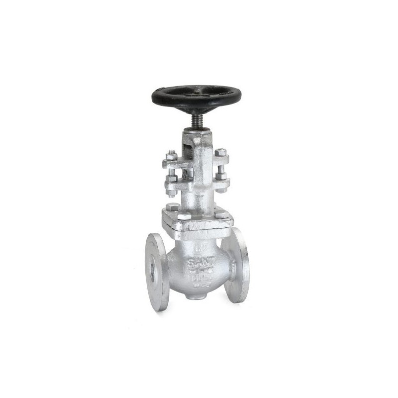 Sant Cast Steel Globe Valve