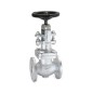 Sant Cast Steel Globe Valve