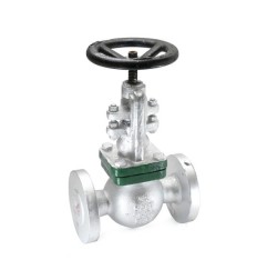 Globe Valve