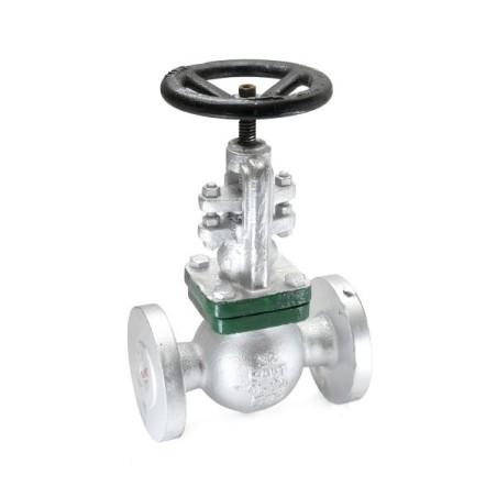 Globe Valve