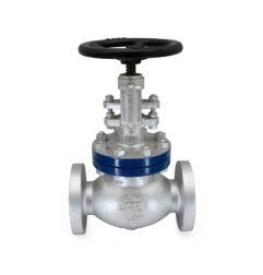 Globe Valve