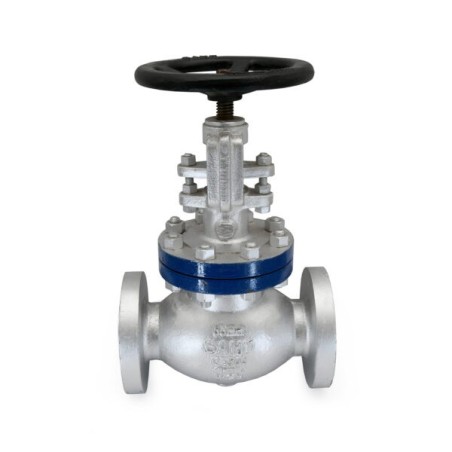 Globe Valve