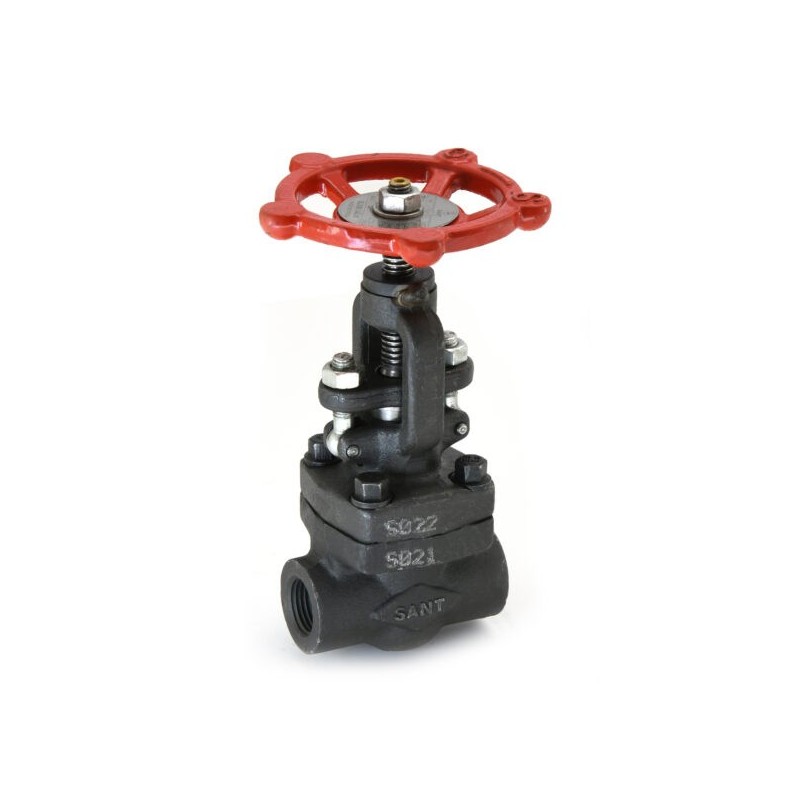 Sant Forged Steel Globe Valve Threaded