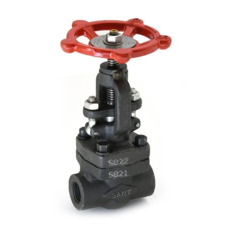 Globe Valve