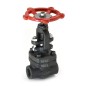 Sant Forged Steel Globe Valve Threaded