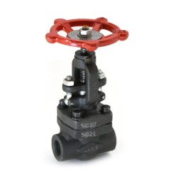 Globe Valve