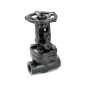 Sant Forged Steel Wedge Gate Valve Threaded