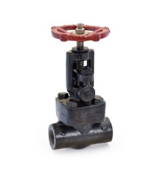 Globe Valve