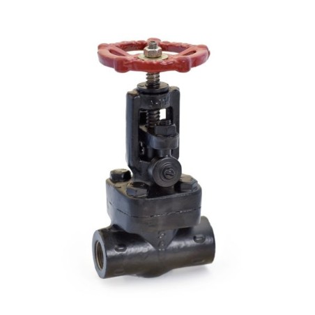 Globe Valve