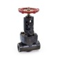 Sant Forged Steel Globe Valve Class-1500