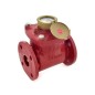 Sant CI Woltman Water Meter - Hot Water