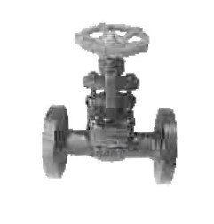 Globe Valve