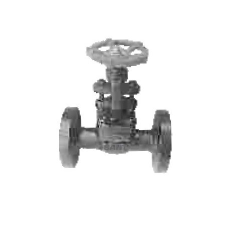 Globe Valve