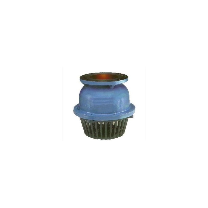 Kirloskar CI Foot Valve Flange PN-20