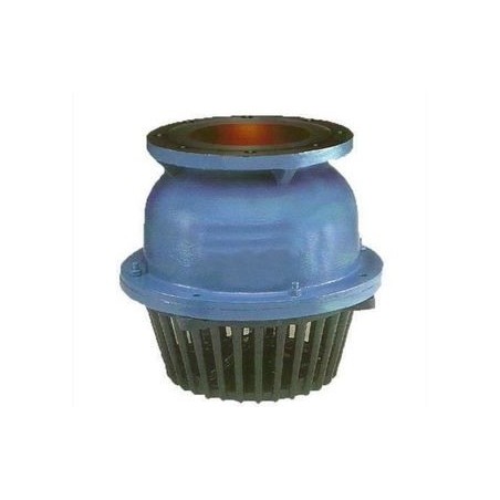 Foot Valve