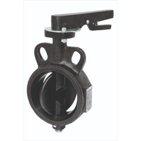 Butterfly Valve