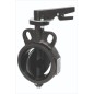 Kartar Ci Butterfly Valve PN16