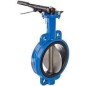 Drp CI Butterfly Valve Disc-MI PN-16 ISI Lever Operated