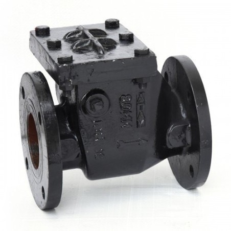 Non Return Valve