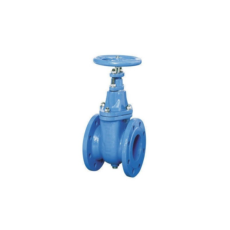 Atam Cast Iron Gate Valve Flanged PN-16