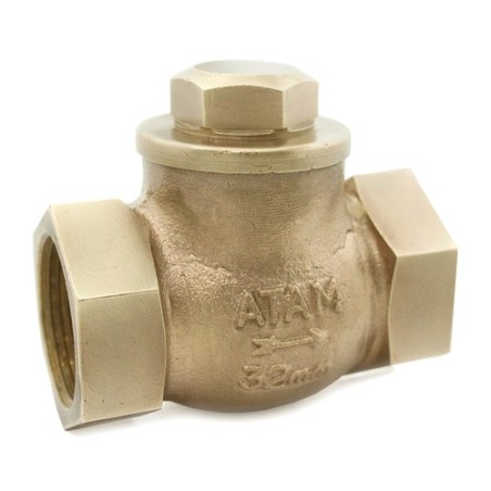 Check Valve