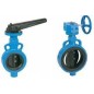 Atam CI Butterfly Valve With S.G Iron Disc PN-16