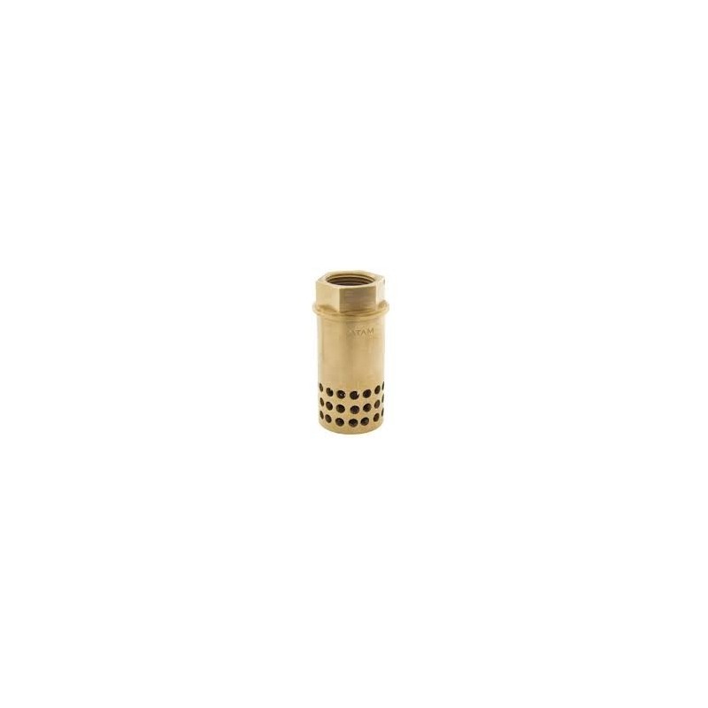 Atam Bronze Foot Valve Hole Type Screwed PN-20