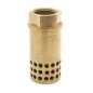 Atam Bronze Foot Valve Hole Type Screwed PN-20