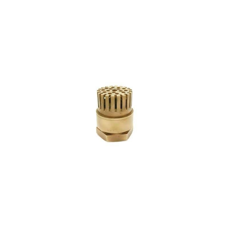 Atam Bronze Foot valve Screwed PN-20