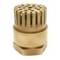 Atam Bronze Foot valve Screwed PN-20