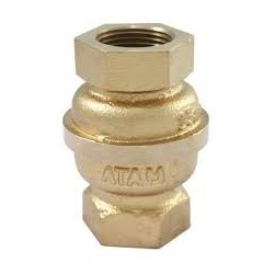 Check Valve