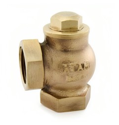 Check Valve