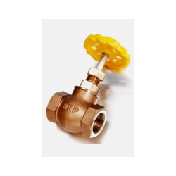 DRP GM Unoin Bonnet Globe Valve