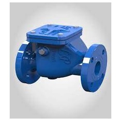 Reflux Valve